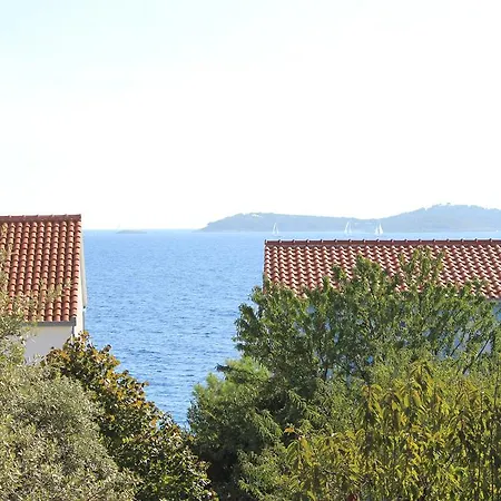 4 Dolphins