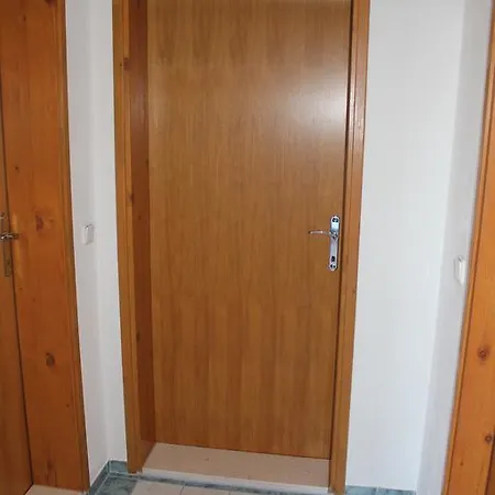 4 Dolphins רוגוזניצה